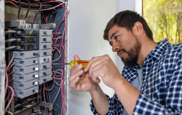 Best Electric Panel Repair  in Blue Grass, IA